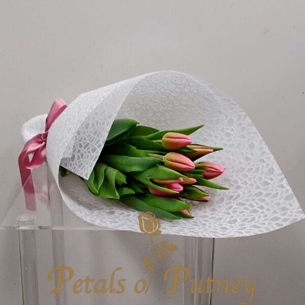Tulips Medium
