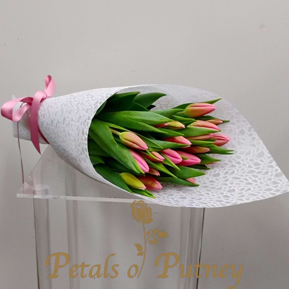 Beautiful Tulips