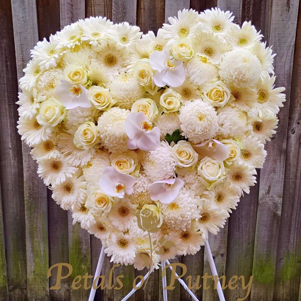Clouds