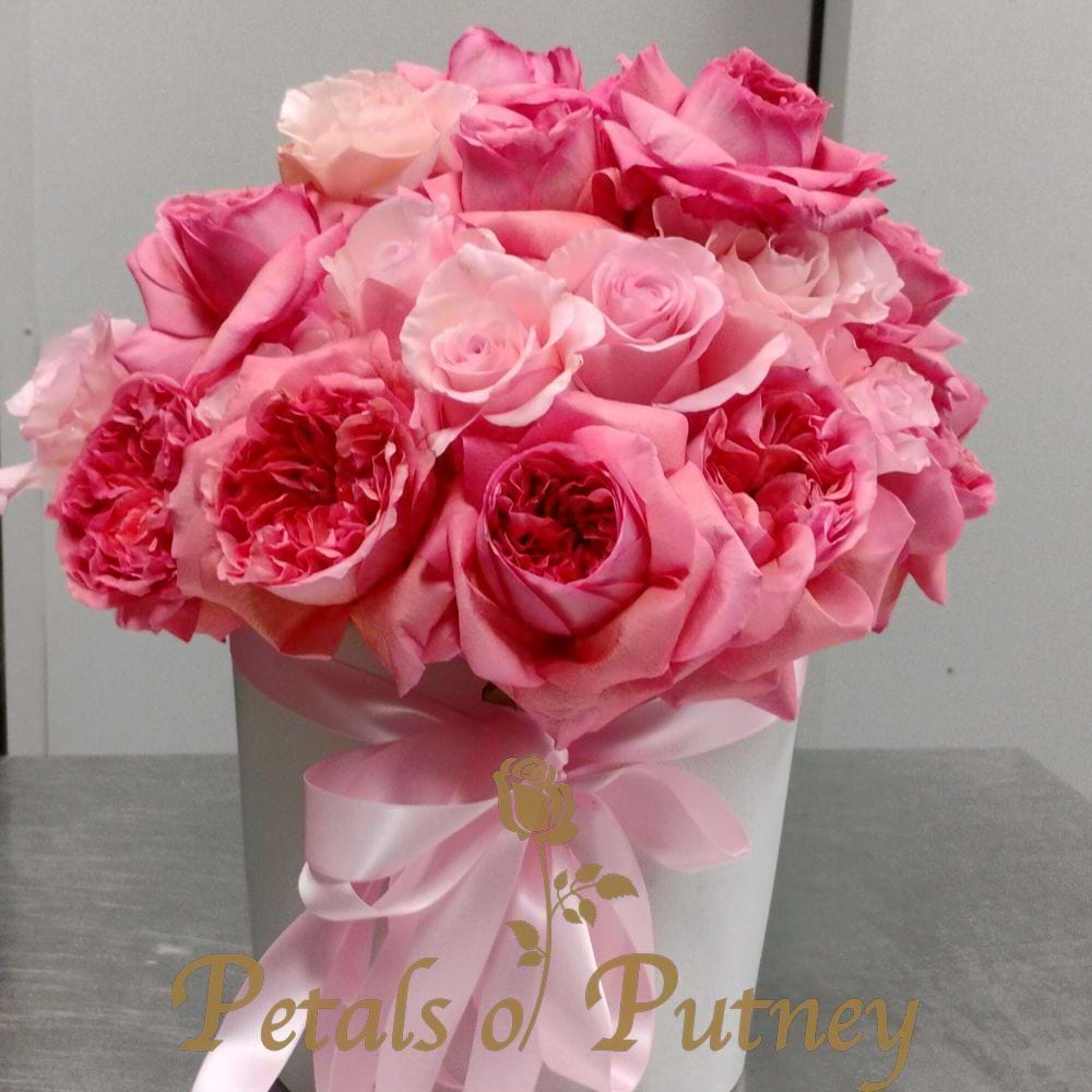 Pinky Pink