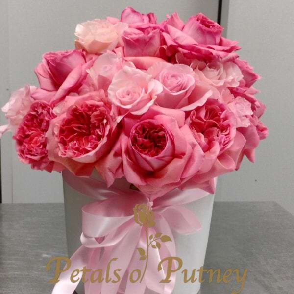 Pinky Pink